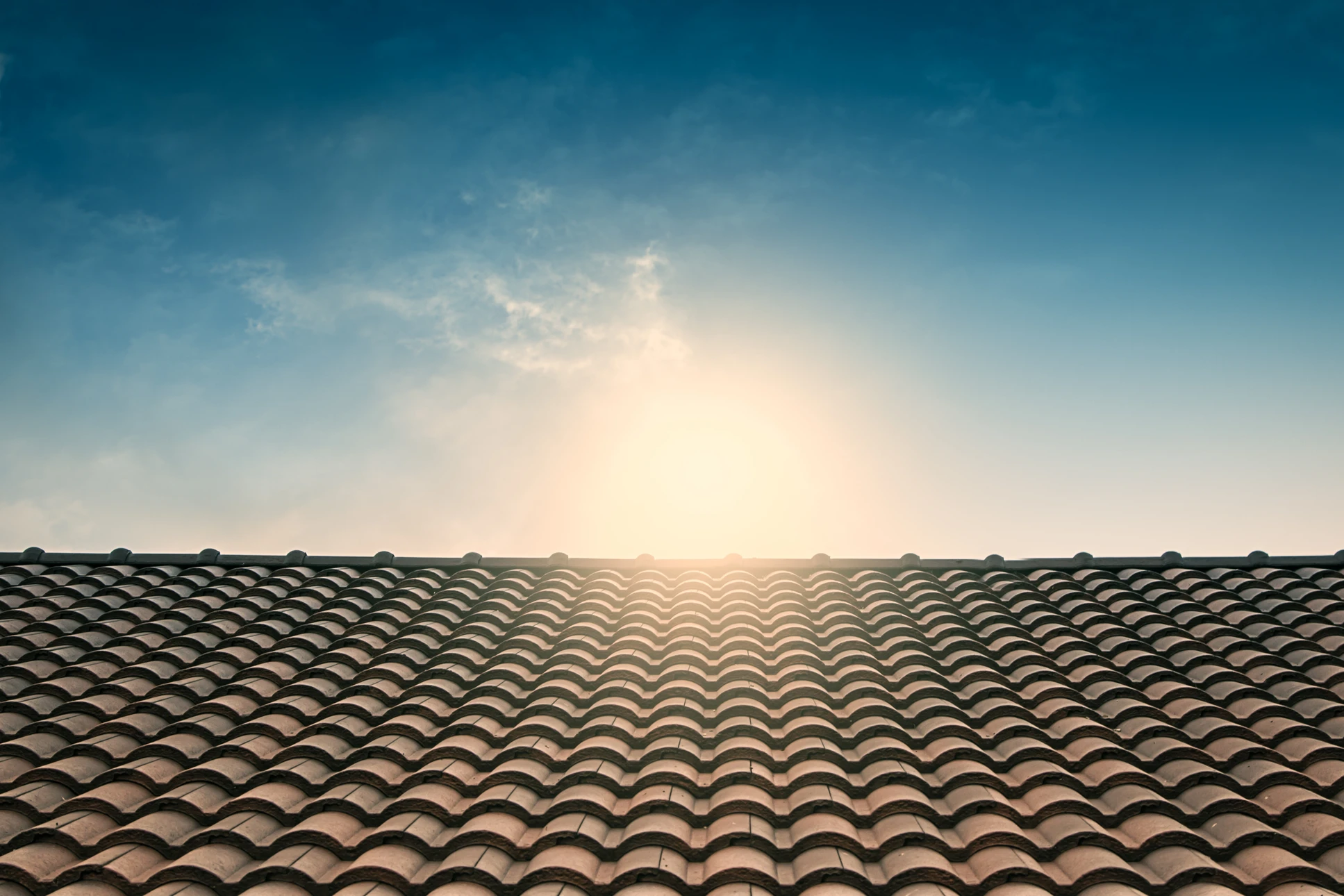 Artisan en chemise travaillant dans un atelier de menuiserie, utilisant un marteau à panne fendue avec manche bleu et jaune pour enfoncer un clou dans une planche de bois brut