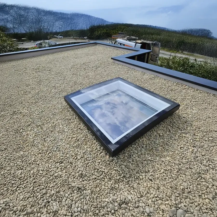 Serre tropicale avec allée centrale en terre battue bordée de végétation luxuriante